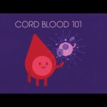 Umbilical Cord Blood Transplantation | umbilical cord blood preservation